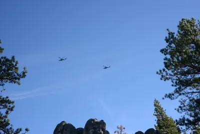 DSC_5221 (Large).JPG